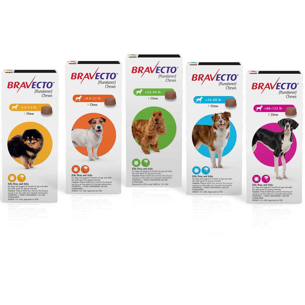 Bravecto For Dogs