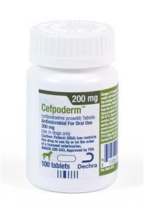 Cefpoderm (cefpodoxime proxetil) Tablets