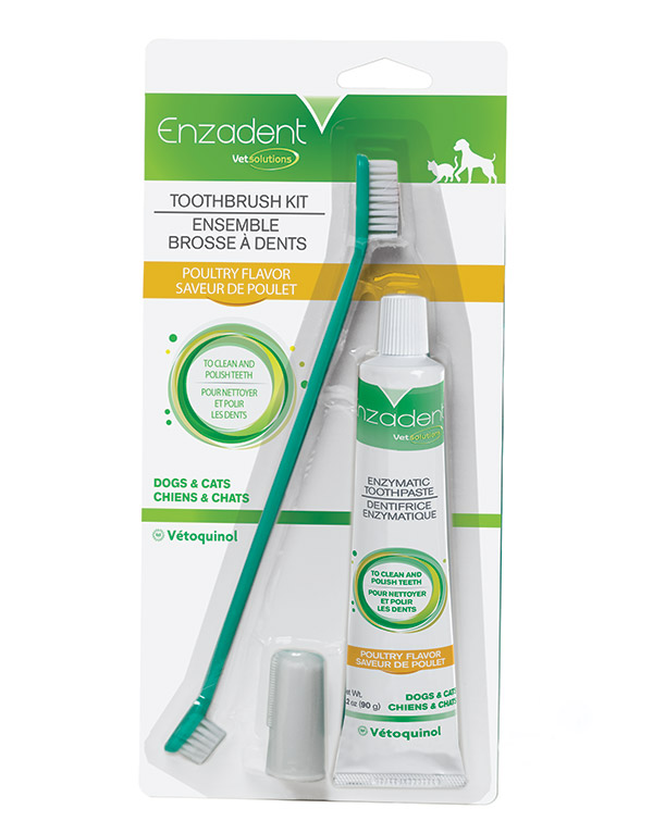 Enzadent Toothbrush Kit