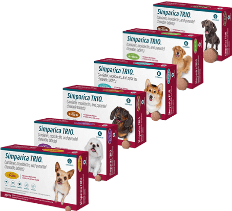 Simparica Trio Chewable Tablet (6 Months)
